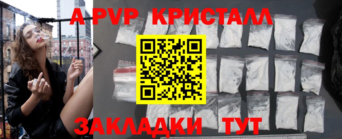 Alfa_PVP СК  A PVP VHQ  Нальчик  Вход с VPN 